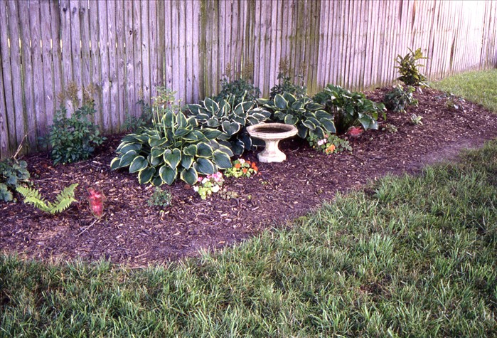 0020_20030112_1504_Slide 1997 06 N22.jpg